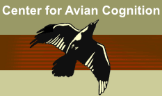 Center for Avian Cognition
