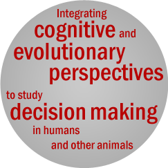Integrates cognitive and evolutionary perspectives to study decision making in humans and other animals